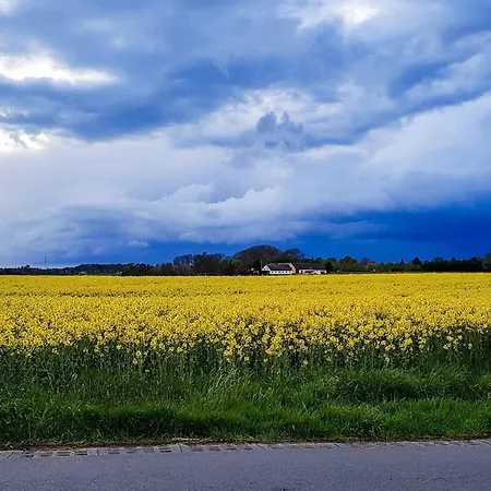 6 Person In Graested-by Traum *