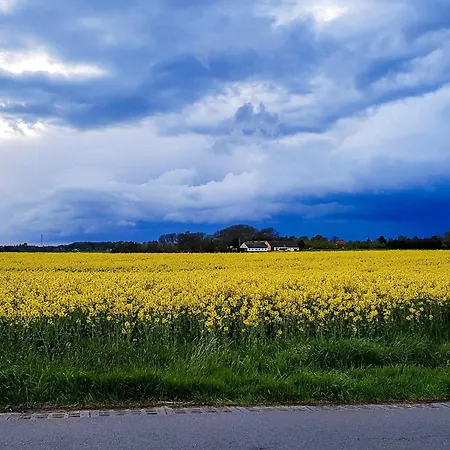 6 Person In Graested-by Traum * Græsted