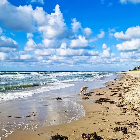 度假居 6 Person In Graested-by Traum Græsted