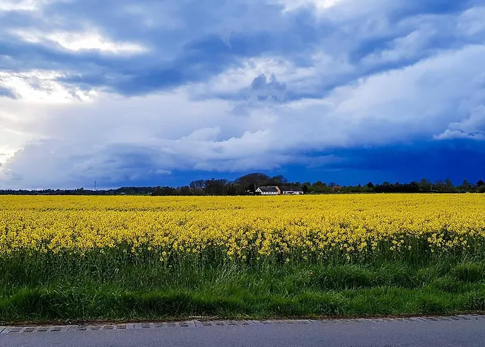 6 Person In Graested-by Traum * Græsted