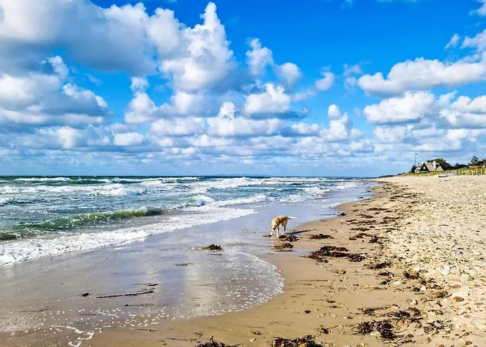 Casa vacanze 6 Person In Graested-by Traum Græsted